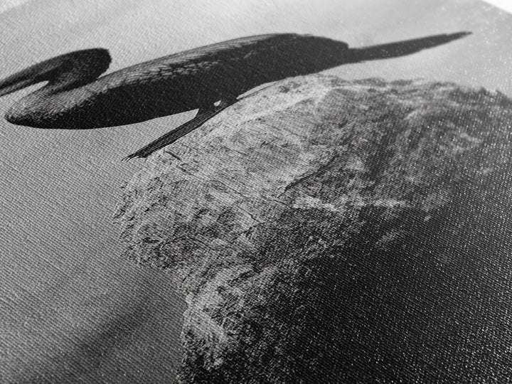 Cormorant Bird, Driftwood Perch, Moody Sky, Framed Canvas Print, Coastal Wildlife Wall Art, Nature Lover Gift, Rustic Room Decor