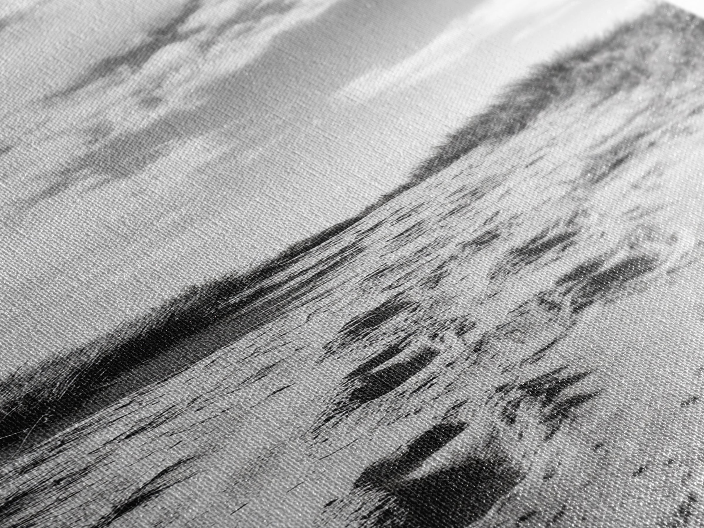 Sandy Trail, Dune Path, Footprints Grass, Canvas Print, Fall Coastal Decor, Boho Entryway Art, Black and White Beach Landscape