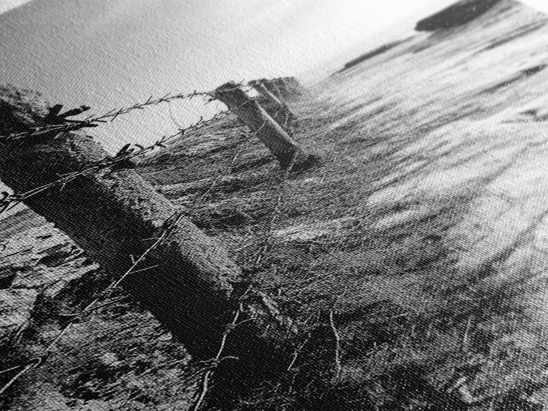 Rocky Shoreline, Barbed Wire, Coastal Minimalism, Rugged Texture, Natural Barrier, Framed Canvas Print, Hallway Wall Art, Industrial Rustic Style