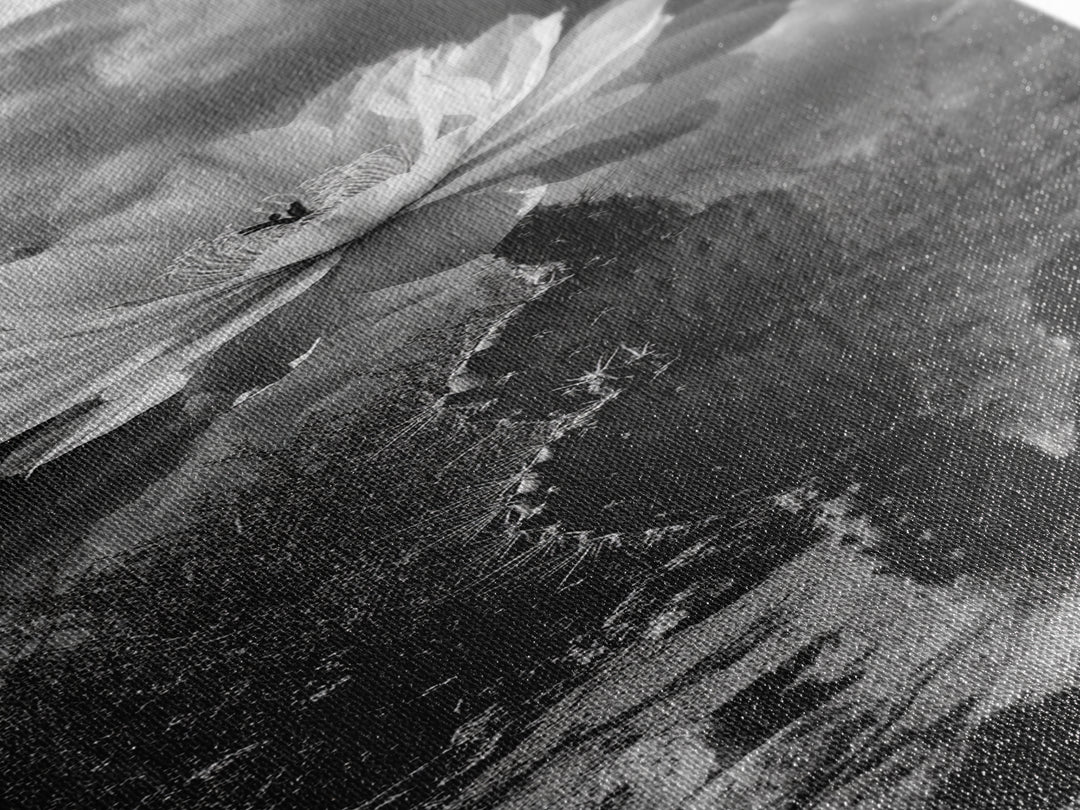 Desert Flower, Cactus Bloom, Southwest Charm, Bold Nature Art, Framed Canvas Print, Kitchen Wall Art, Boho Western Home Decor