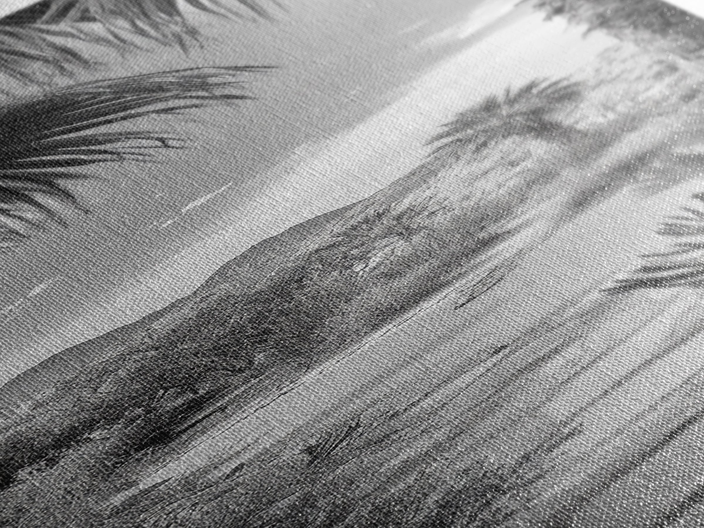 Desert Path, Palm Trees, Serene Escape, Tranquil Garden, Monochrome Landscape, Framed Canvas Print, Entryway Wall Art, Nature Minimal