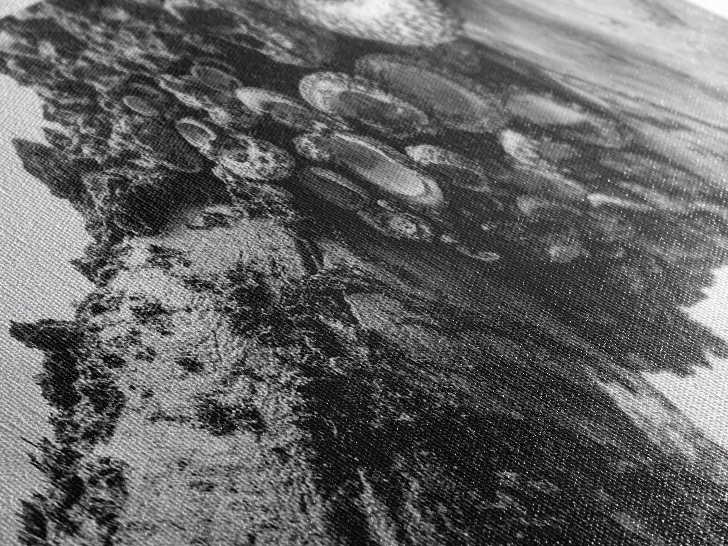 Coastal Texture, Tidepool Abstract, Modern Ocean Nature, Framed Canvas Print, Bathroom Wall Art, Marine Minimalist Photography