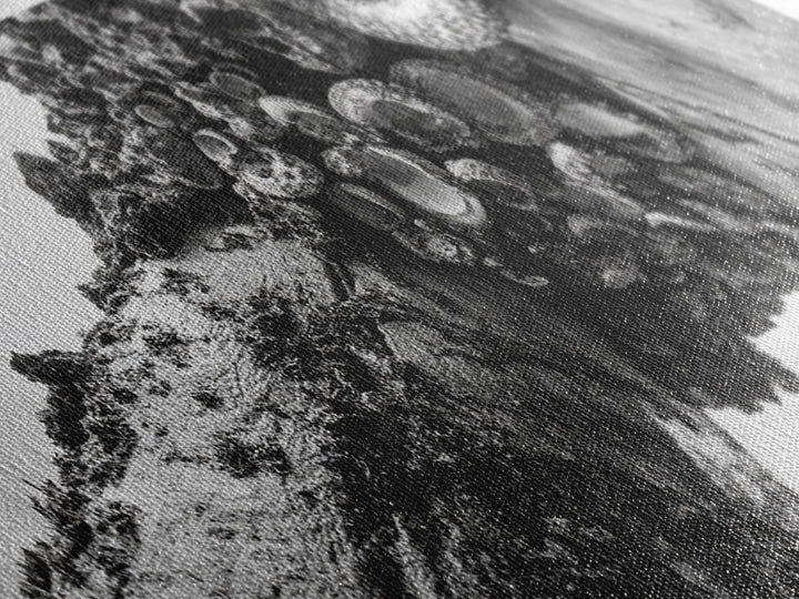 Coastal Texture, Tidepool Abstract, Modern Ocean Nature, Framed Canvas Print, Bathroom Wall Art, Marine Minimalist Photography