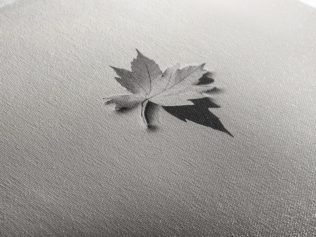 Autumn Leaf, Tranquil Water, Floating Serenity, Soft Tones Nature Art, Canvas Print, Fall Bedroom Wall Art, Minimalist Style