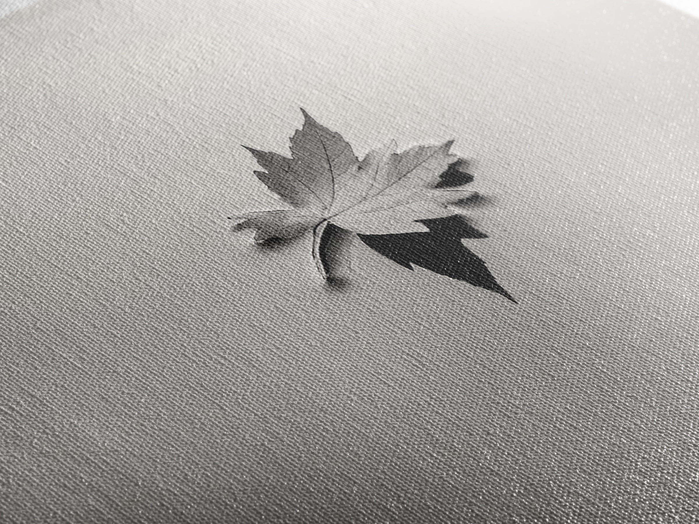 Autumn Leaf, Tranquil Water, Floating Serenity, Soft Tones Nature Art, Canvas Print, Fall Bedroom Wall Art, Minimalist Style