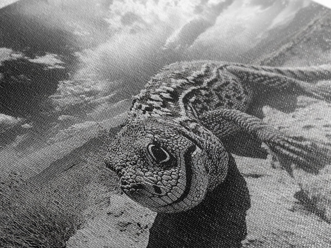 Desert Lizard Close-Up, Reptile Wildlife Photography, Dramatic Sky Scene, Canvas Print, Living Room Wall Art, Nature Decor