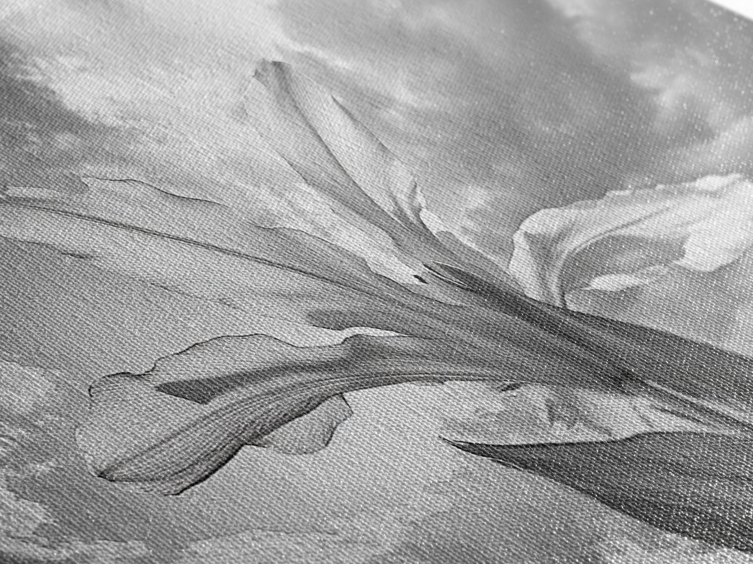 Blooming Iris, Floral Sky, Dreamy Nature, Petal Light, Framed Canvas Print, Modern Bedroom Art, Feminine Wall Art, Botanical Home Decor