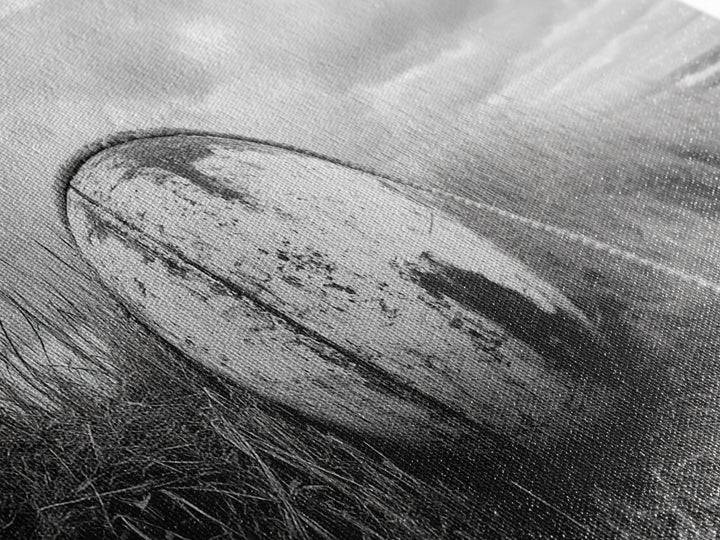 Coastal Buoy, Nautical Sphere, Fishing Rope, Beach Grass, Framed Canvas Print, Coastal Bathroom Art, Seaside Wall Decor, Rustic Style