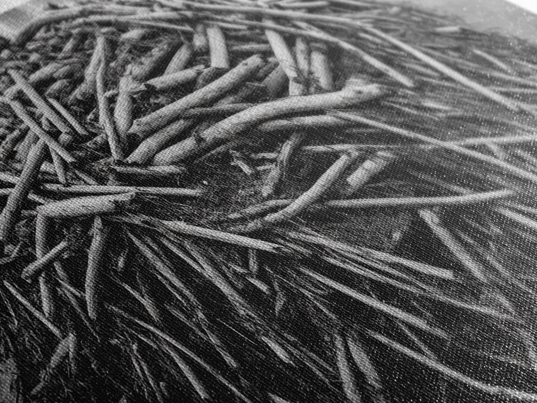 Beaver Lodge, Natural Structure, Earthy River Habitat, Framed Canvas Print, Cabin Wall Art, Nature-Inspired Rustic Fall Decor