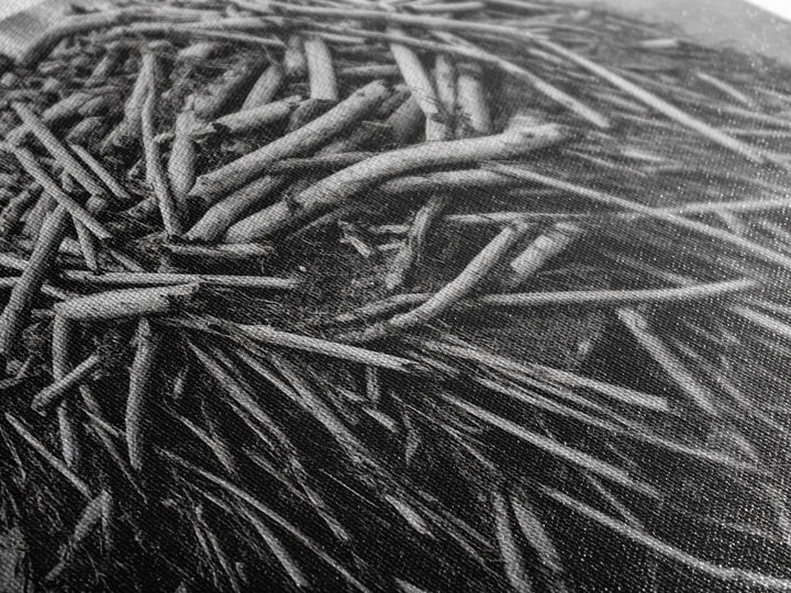 Beaver Lodge, Natural Structure, Earthy River Habitat, Framed Canvas Print, Cabin Wall Art, Nature-Inspired Rustic Fall Decor