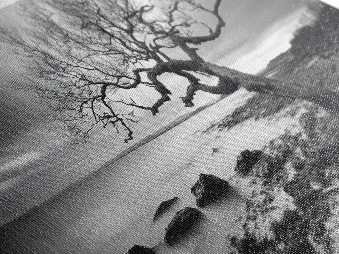 Coastal Tree, Tidal Shore, Windswept Beauty, Natural Balance, Framed Canvas Print, Bedroom Wall Art, Boho Decor, Serene Seascape