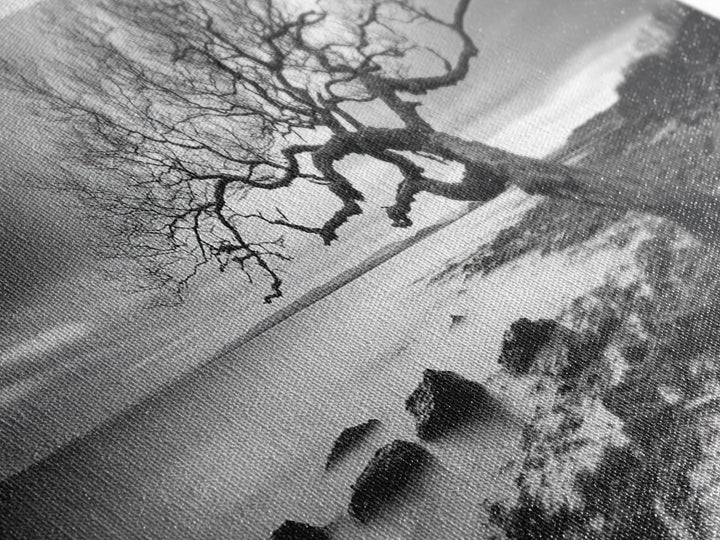 Coastal Tree, Tidal Shore, Windswept Beauty, Natural Balance, Framed Canvas Print, Bedroom Wall Art, Boho Decor, Serene Seascape