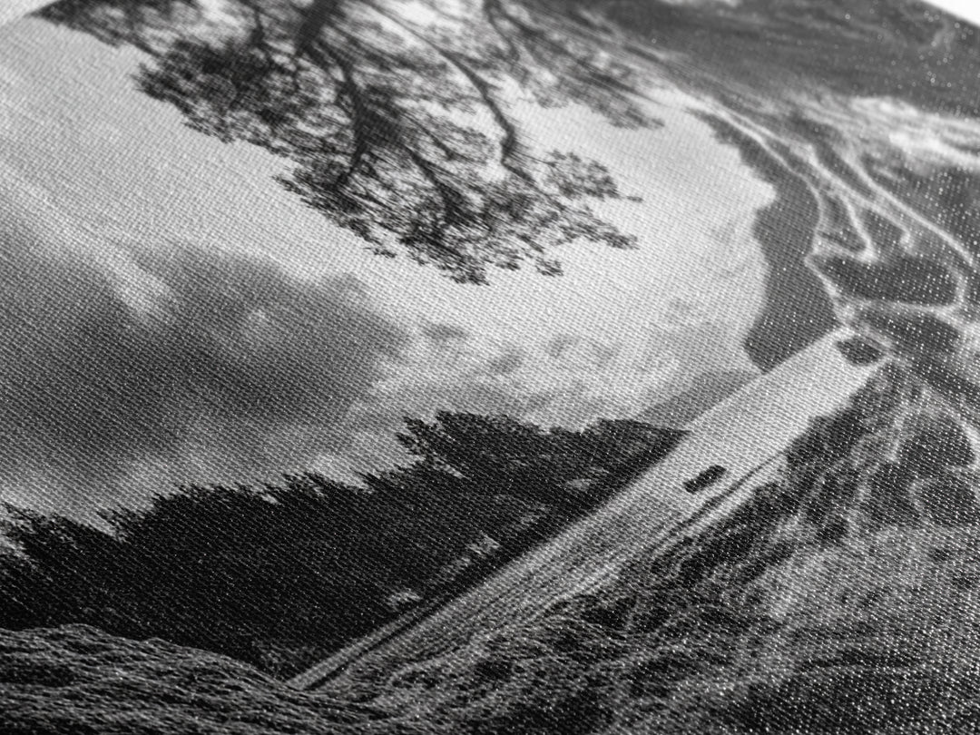 Coastal Tree Roots, Ancient Forest Shore, Pacific Northwest Nature, Moody Black and White Canvas Print, Cabin Wall Art, Woodland Style