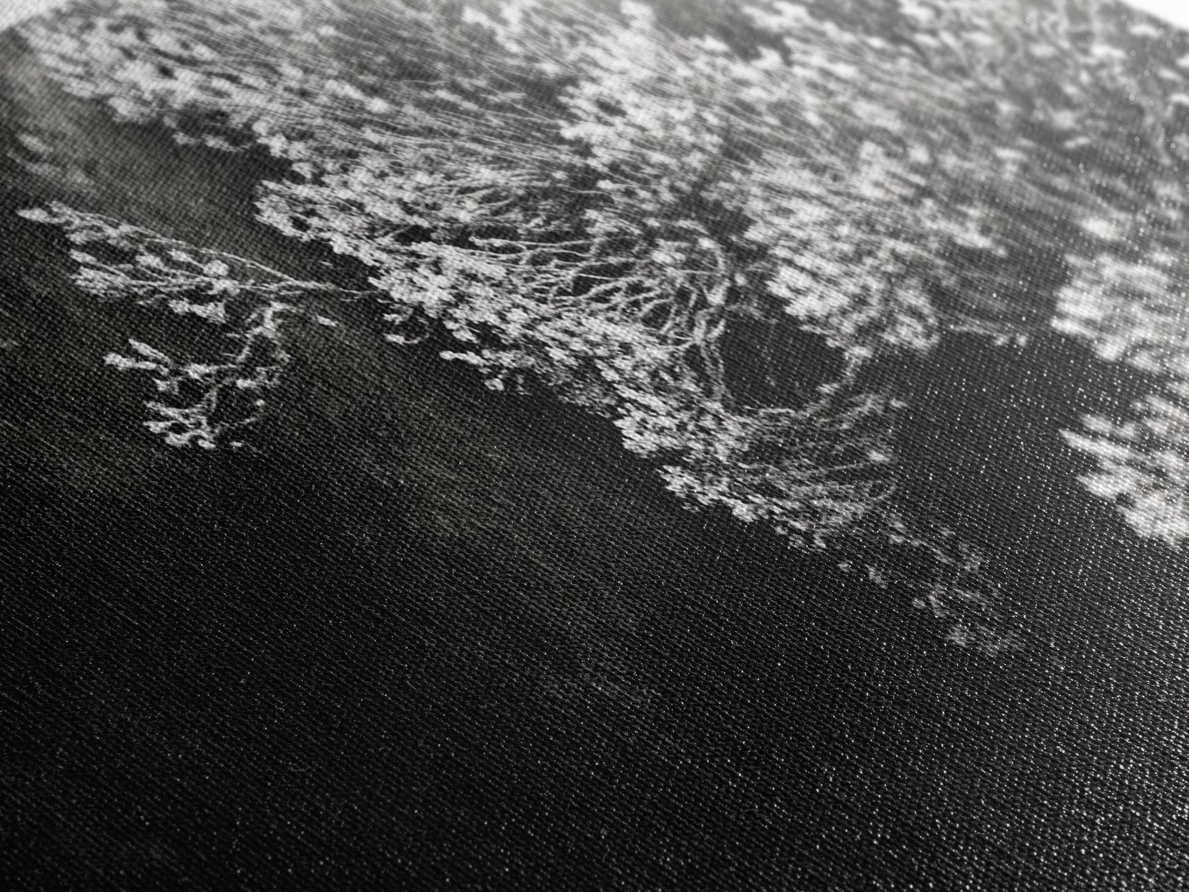 Botanical Texture, Nature Closeup Art, Modern Organic Aesthetic, Framed Canvas Print, Bedroom Wall Art, Neutral Boho Wall Decor