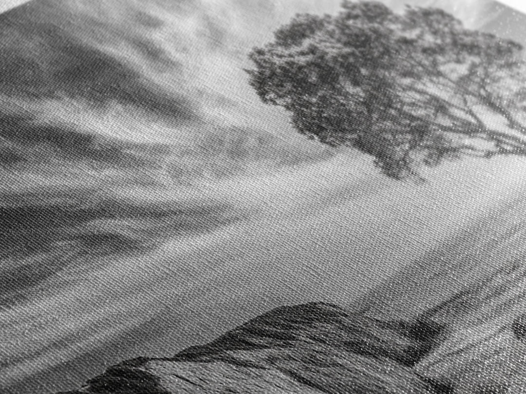 Coastal Tree Cliff, Ocean Breeze Scene, Scenic Nature Vibes, Framed Canvas Print, Boho Bedroom or Serene Living Room Wall Art