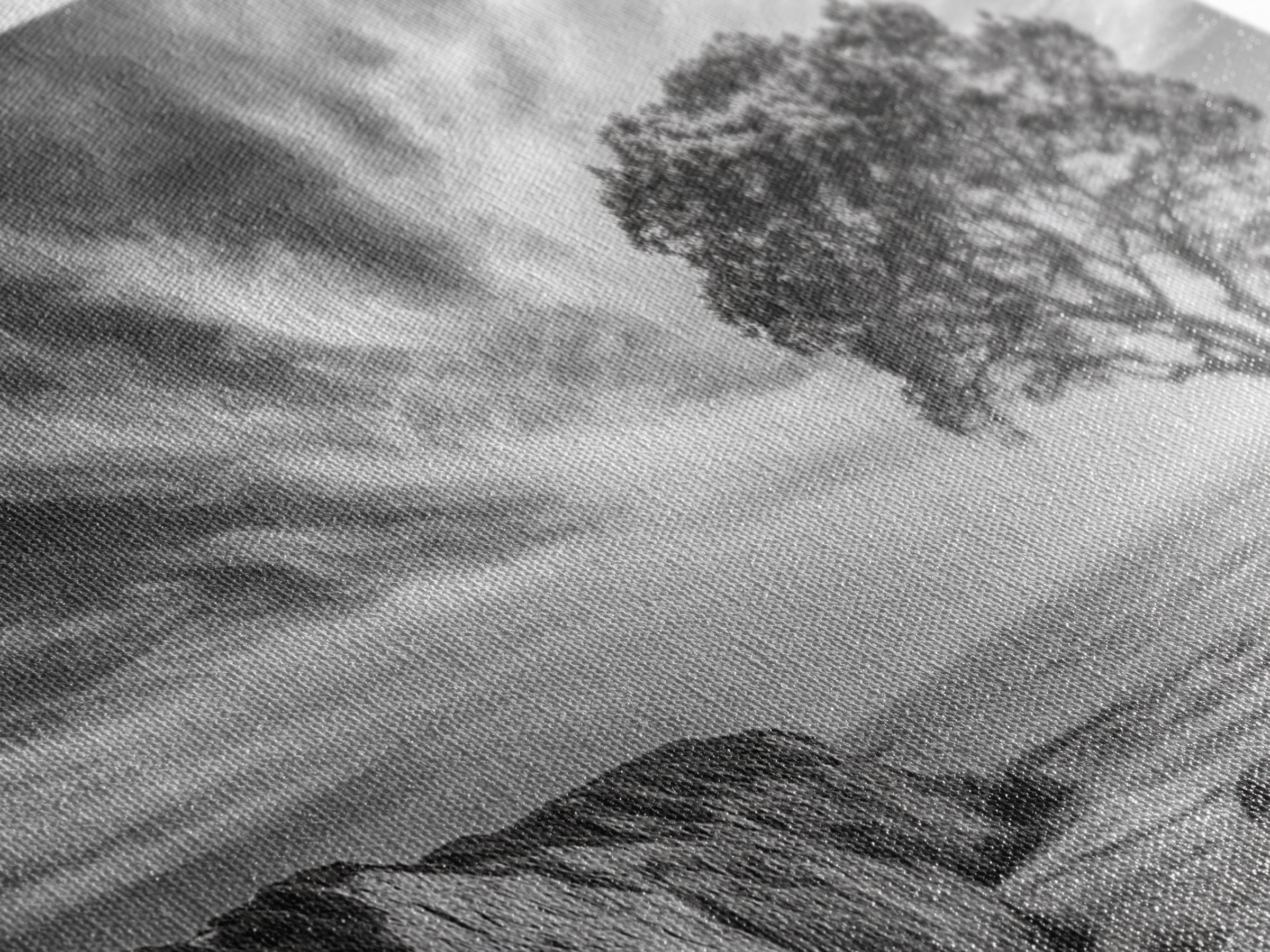 Coastal Tree Cliff, Ocean Breeze Scene, Scenic Nature Vibes, Framed Canvas Print, Boho Bedroom or Serene Living Room Wall Art