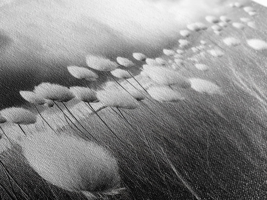 Cotton Grass Field, Stormy Sky Art, Botanical Monochrome, Minimalist Nature Print, Framed Canvas Print, Bedroom Wall Art, Nordic Style