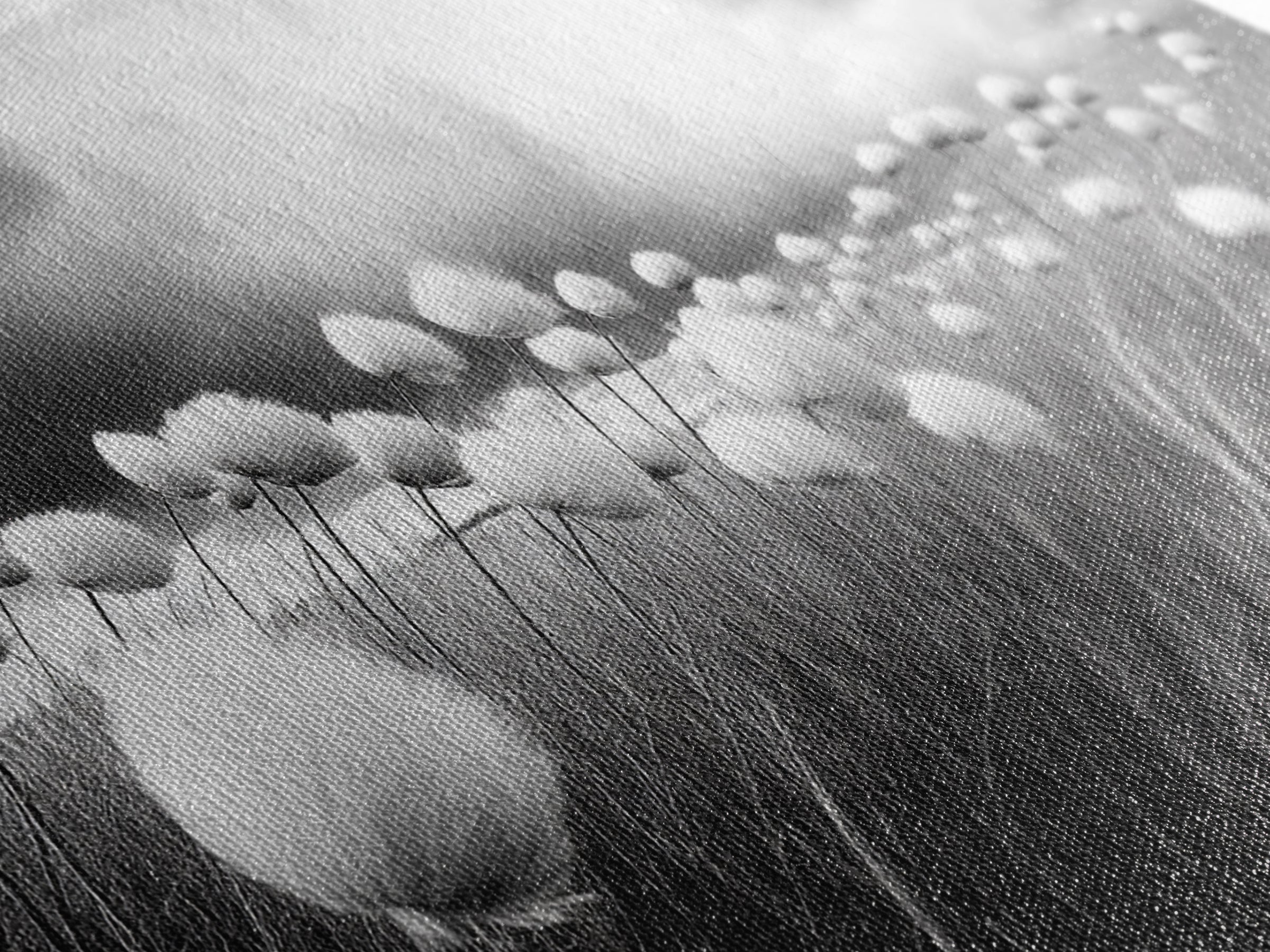 Cotton Grass Field, Stormy Sky Art, Botanical Monochrome, Minimalist Nature Print, Framed Canvas Print, Bedroom Wall Art, Nordic Style