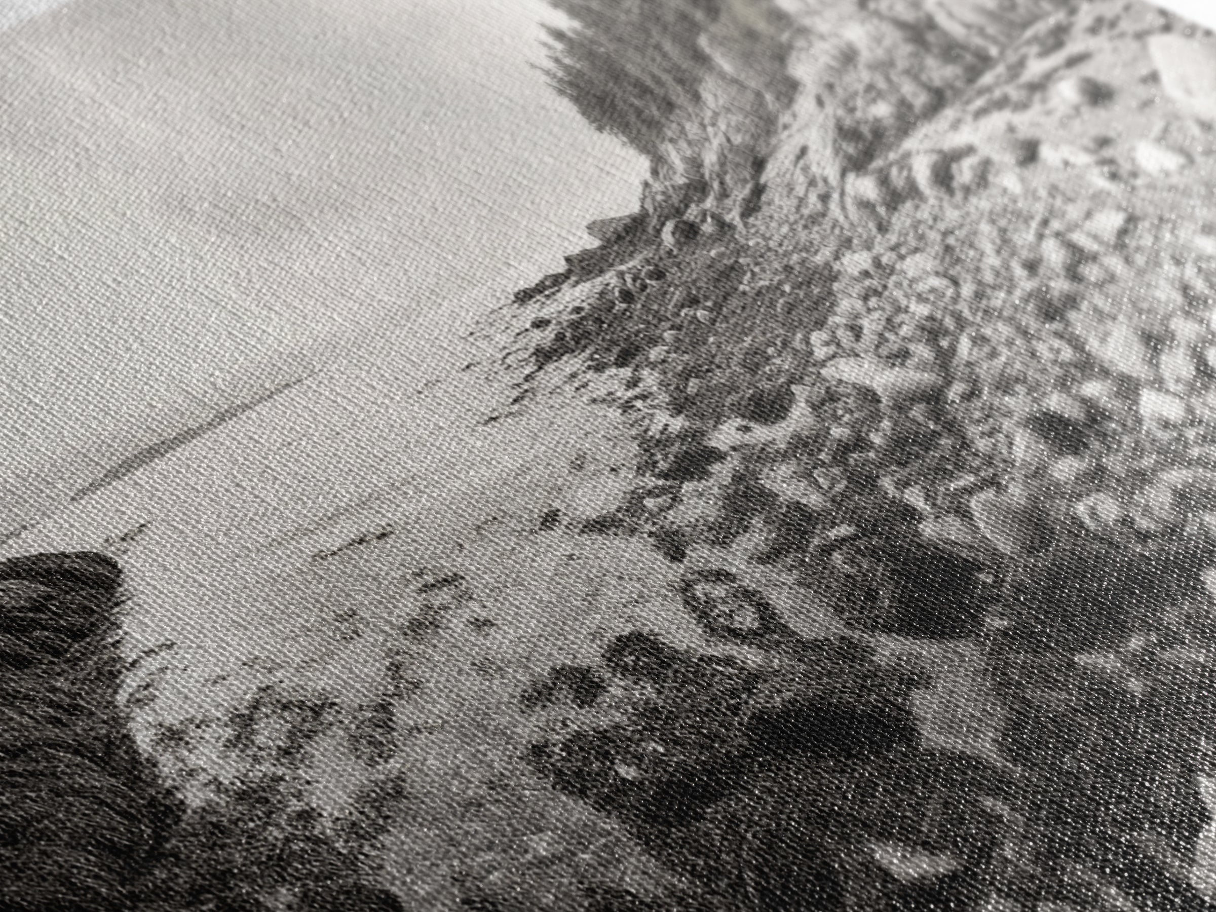 Rocky Coast, Forest Edge, Tranquil Shoreline, Earthy Landscape Scene, Canvas Print, Neutral Home Decor, Rustic Cabin Wall Art