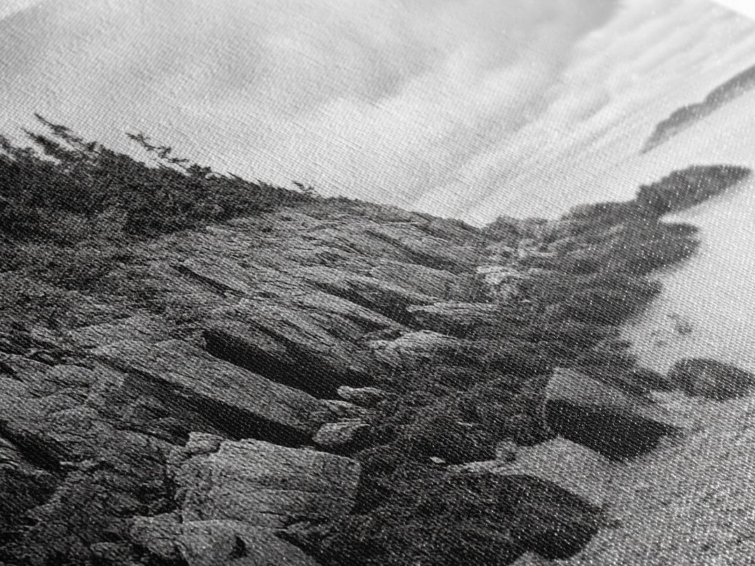 Rocky Shore, Coastal Forest, Black White Landscape, Nature Wall Decor, Framed Canvas Print, Cabin Living Room Art, Fall Inspired Scene