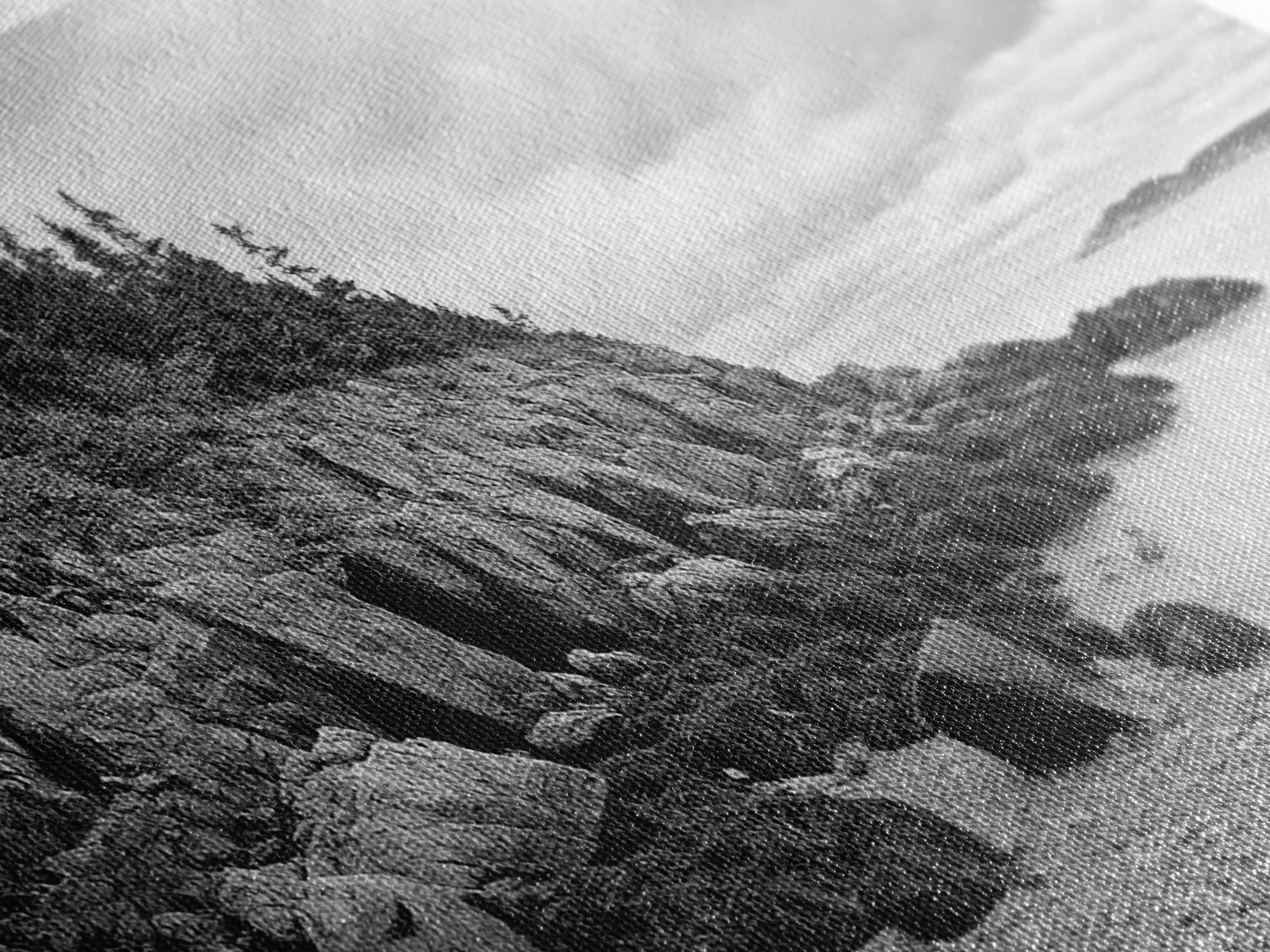 Rocky Shore, Coastal Forest, Black White Landscape, Nature Wall Decor, Framed Canvas Print, Cabin Living Room Art, Fall Inspired Scene