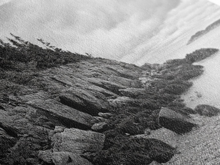 Rocky Shore, Coastal Forest, Black White Landscape, Nature Wall Decor, Framed Canvas Print, Cabin Living Room Art, Fall Inspired Scene