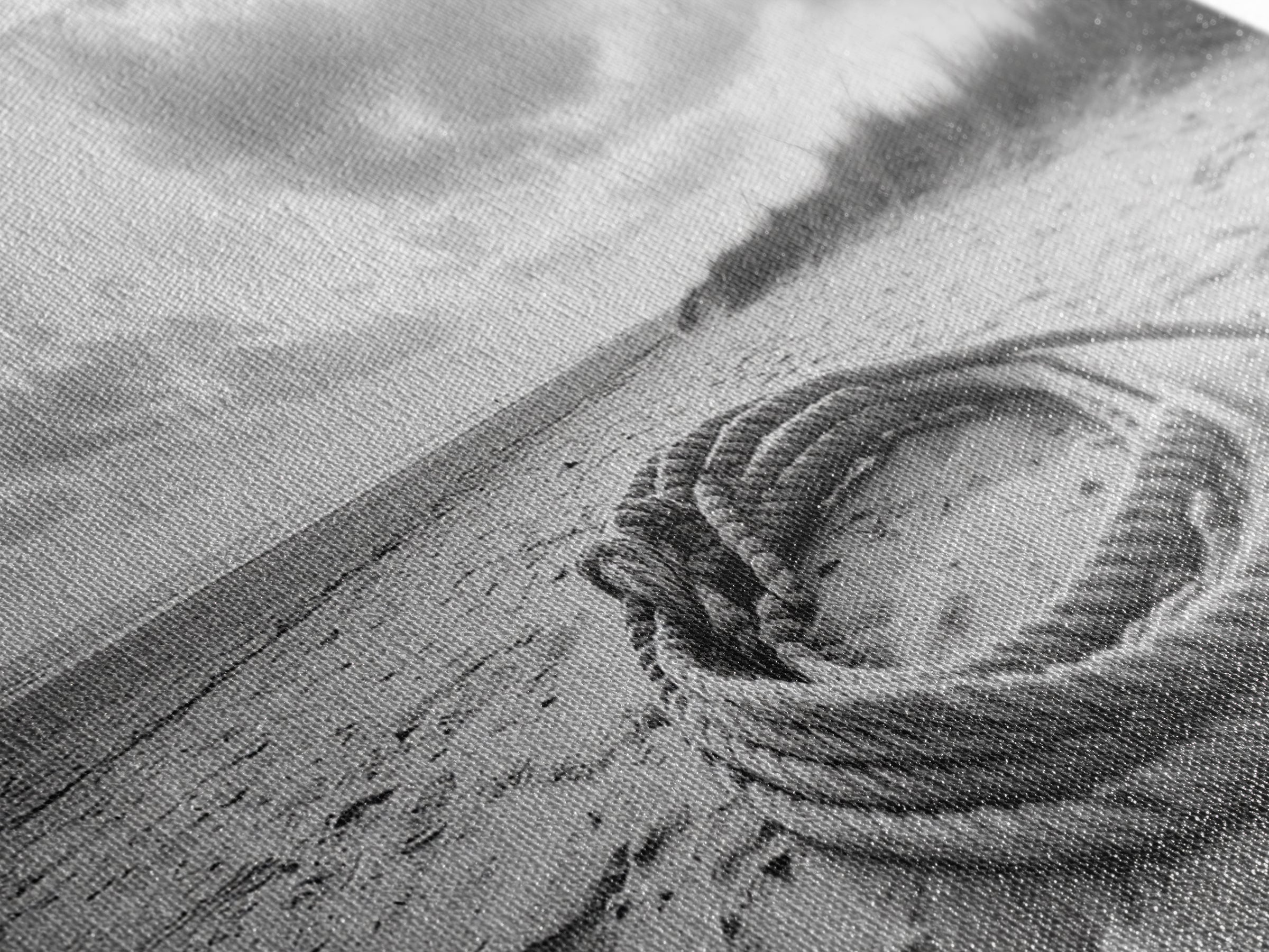 Beach Rope Still, Sand Dune Landscape, Seaside Art, Coastal Minimalist, Canvas Print, Neutral Wall Art, Living Room Coastal Decor, Nautical Style