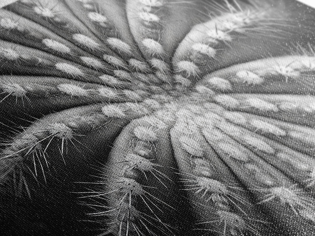Cactus Spiral, Desert Bloom, Nature Closeup, Modern Decor, Framed Canvas Print, Minimalist Botanical Art, Office Wall Art, Succulent Texture