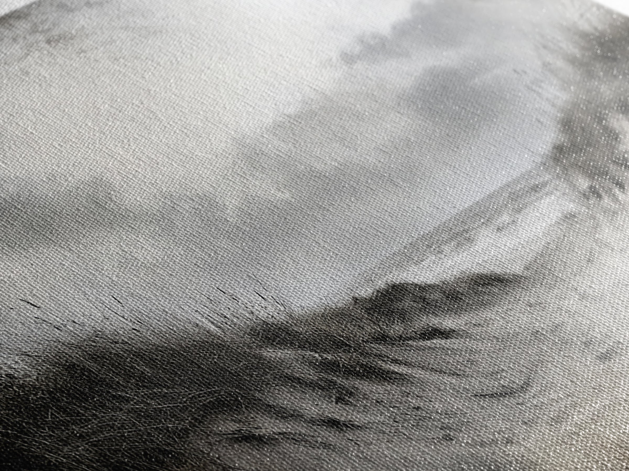 Coastal Dunes Path, Windy Beach Scene, Ocean Wall Art, Nature Landscape, Framed Canvas Print, Rustic Decor, Entryway Wall Art