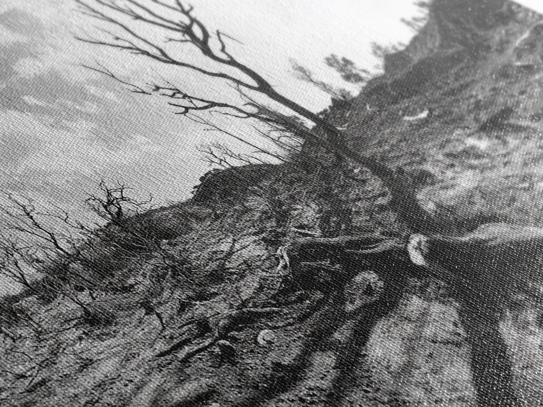 Barren Tree Landscape, Post Fire Terrain, Dystopian Forest Scene, Survival Mood, Canvas Print, Office Wall Art, Dark Nature Decor