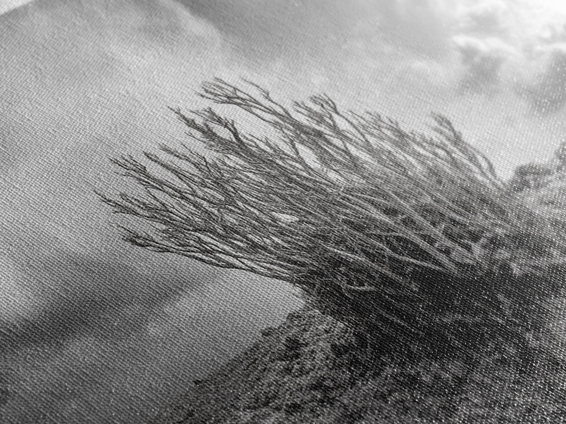 Desert Coral Plant, Dry Earth Botanical, Surreal Nature Texture, Minimal Wild Scene, Canvas Print, Office Wall Art, Earthy Decor