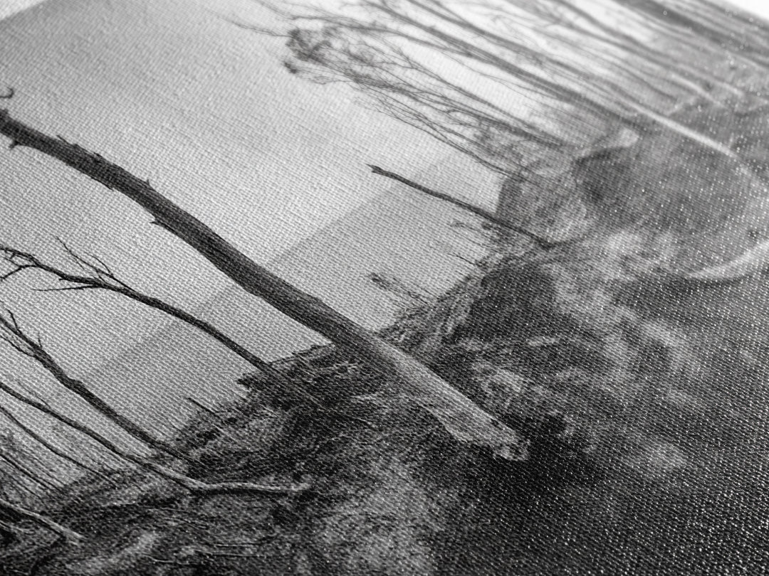 Burnt Forest, Moody Trees, Coastal Landscape, Nature Scene, Framed Canvas Print, Rustic Wall Art, Boho Decor, Fall Home Aesthetic