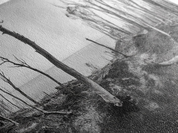 Burnt Forest, Moody Trees, Coastal Landscape, Nature Scene, Framed Canvas Print, Rustic Wall Art, Boho Decor, Fall Home Aesthetic