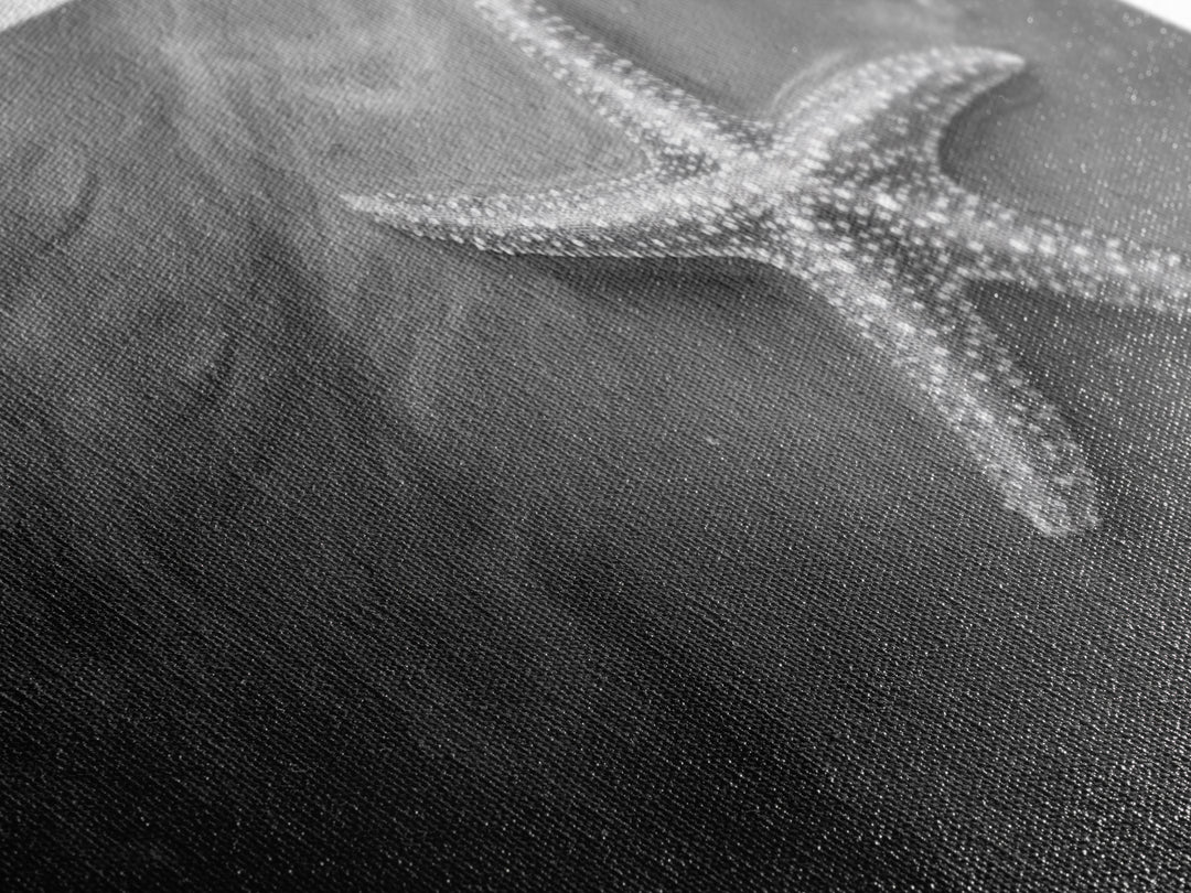 Ocean Starfish, Seashore Calm, Coastal Nature Print, Beach Zen Decor, Framed Canvas Print, Minimalist Bathroom Art, Ocean Wall Piece