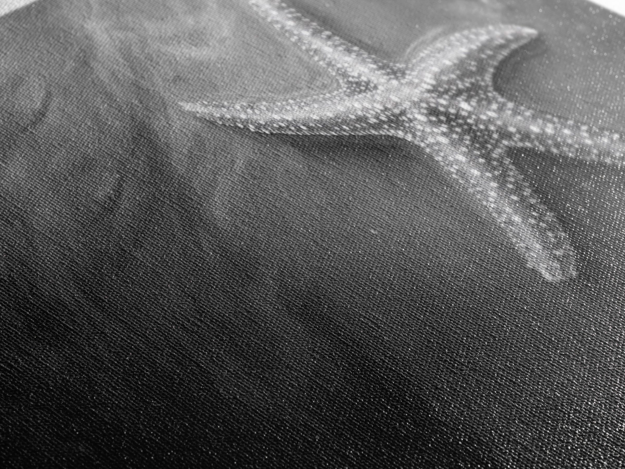 Ocean Starfish, Seashore Calm, Coastal Nature Print, Beach Zen Decor, Framed Canvas Print, Minimalist Bathroom Art, Ocean Wall Piece