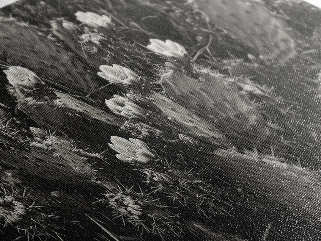 Cactus Blooms, Desert Flowers, Prickly Pear, Nature Closeup, Framed Canvas Print, Southwestern Art, Kitchen Wall Art, Boho Style