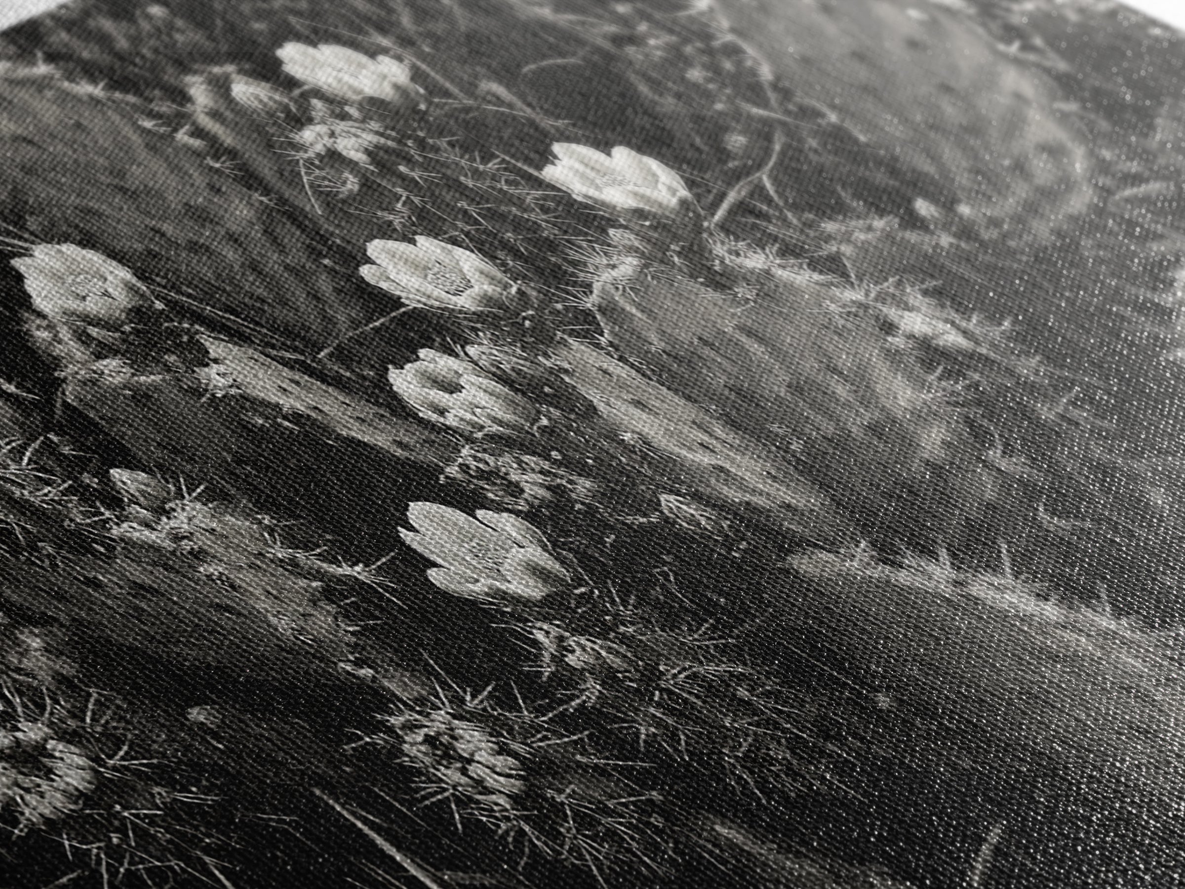 Cactus Blooms, Desert Flowers, Prickly Pear, Nature Closeup, Framed Canvas Print, Southwestern Art, Kitchen Wall Art, Boho Style