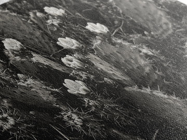 Cactus Blooms, Desert Flowers, Prickly Pear, Nature Closeup, Framed Canvas Print, Southwestern Art, Kitchen Wall Art, Boho Style