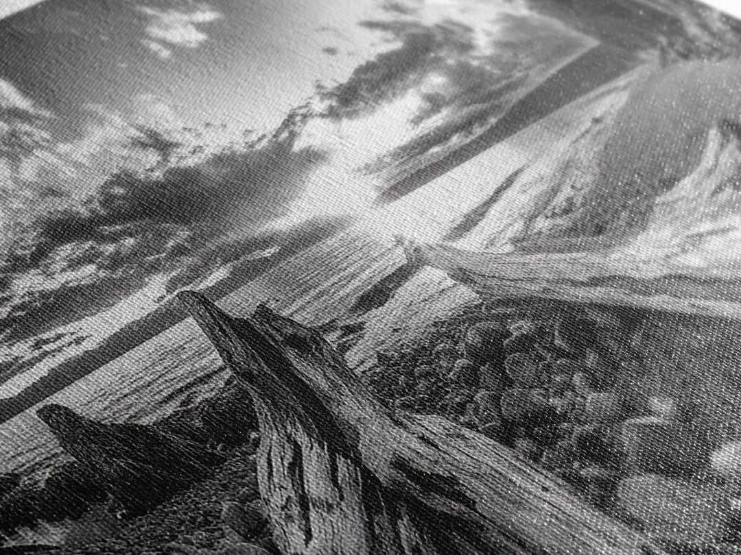 Driftwood Coastline, Rocky Beach Sunset, Nature Wall Art, Framed Canvas Print, Rustic Lake House Decor, Fall Coastal Aesthetic