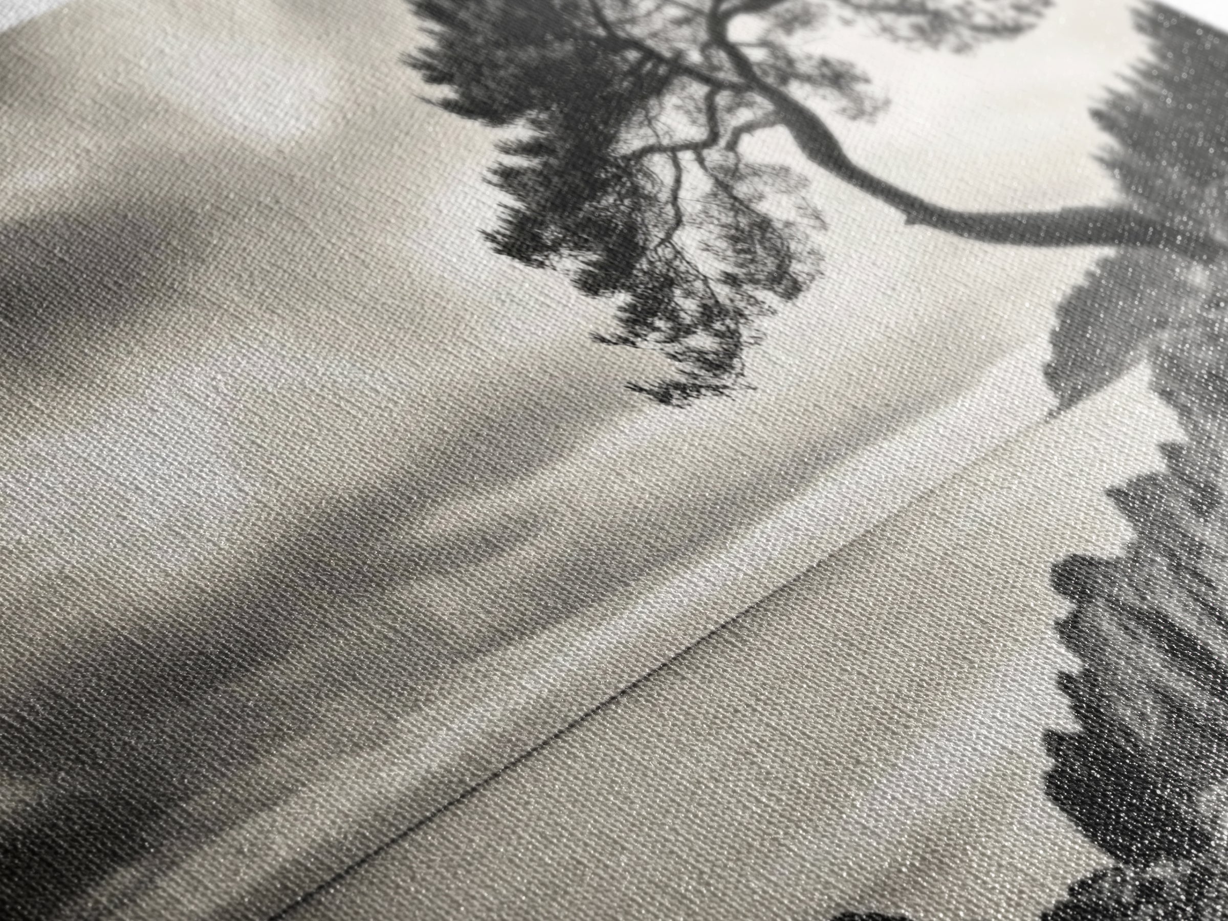 Coastal Tree, Windswept Cliff, Serene Horizon, Nature Escape, Framed Canvas Print, minimalist wall art, bedroom decor, zen nature print