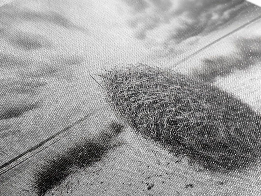 Desert Tumbleweed, Western Landscape, Stormy Sky, Framed Canvas Print, Rustic Farmhouse Wall Art, Fall Decor, Minimalist Western Art