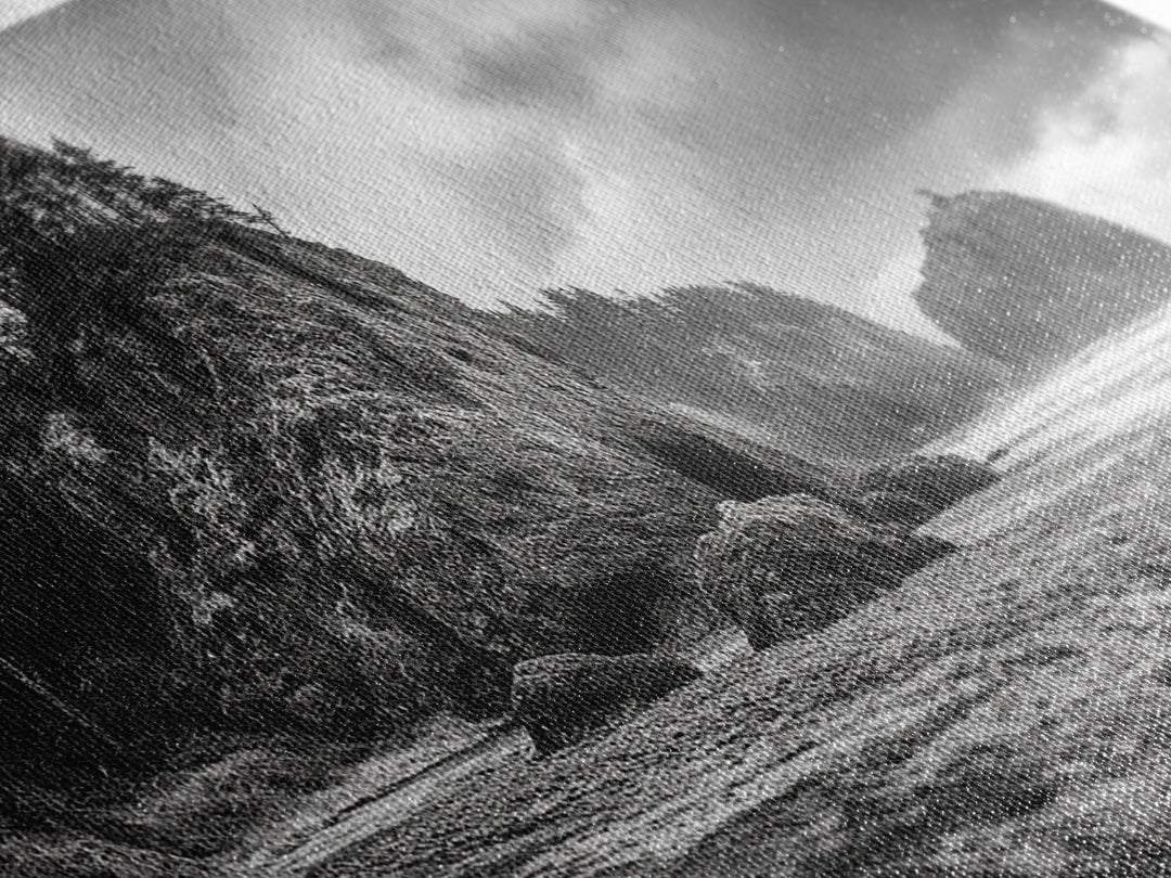 Coastal Rocks, Forest Cliffs, Moody Ocean, Framed Canvas Print, Pacific Northwest Wall Art, Dramatic Seascape, Autumn Nature Photography
