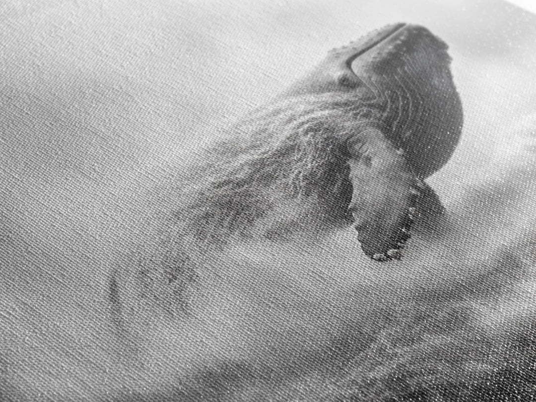 Breaching Whale, Ocean Waves, Marine Power, Framed Canvas Print, Nautical Bathroom Wall Art, Whale Watching Theme, Coastal Photography Art