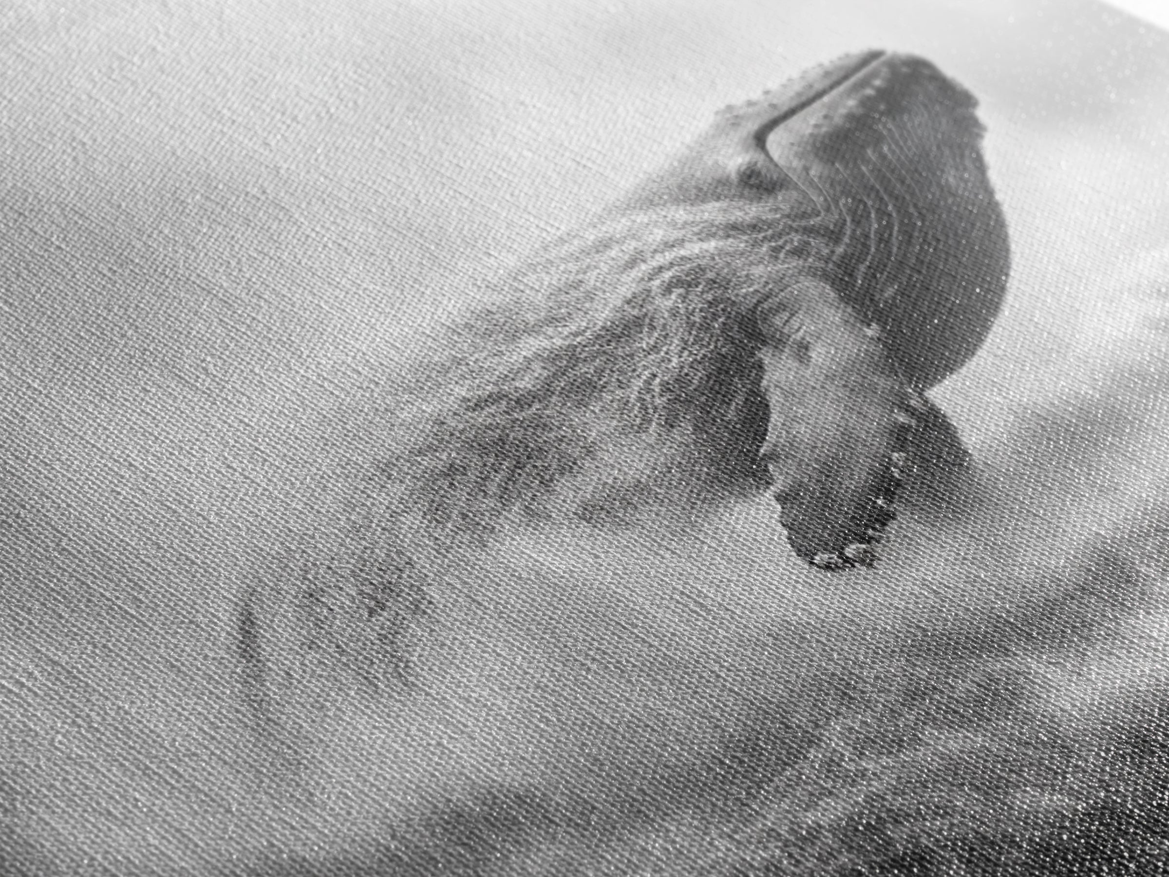 Breaching Whale, Ocean Waves, Marine Power, Framed Canvas Print, Nautical Bathroom Wall Art, Whale Watching Theme, Coastal Photography Art