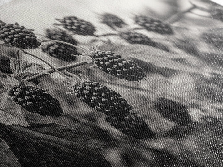 Blackberries on Vine, Farmhouse Kitchen Art, Rustic Fruit Wall Decor, Country Style, Autumn Botanical Photography, Canvas Print