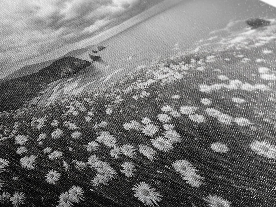 Coastal Flower Field, Ocean Meadow Scene, Seaside Wildflower Landscape, Serene Botanical Print, Living Room Art, Canvas Print