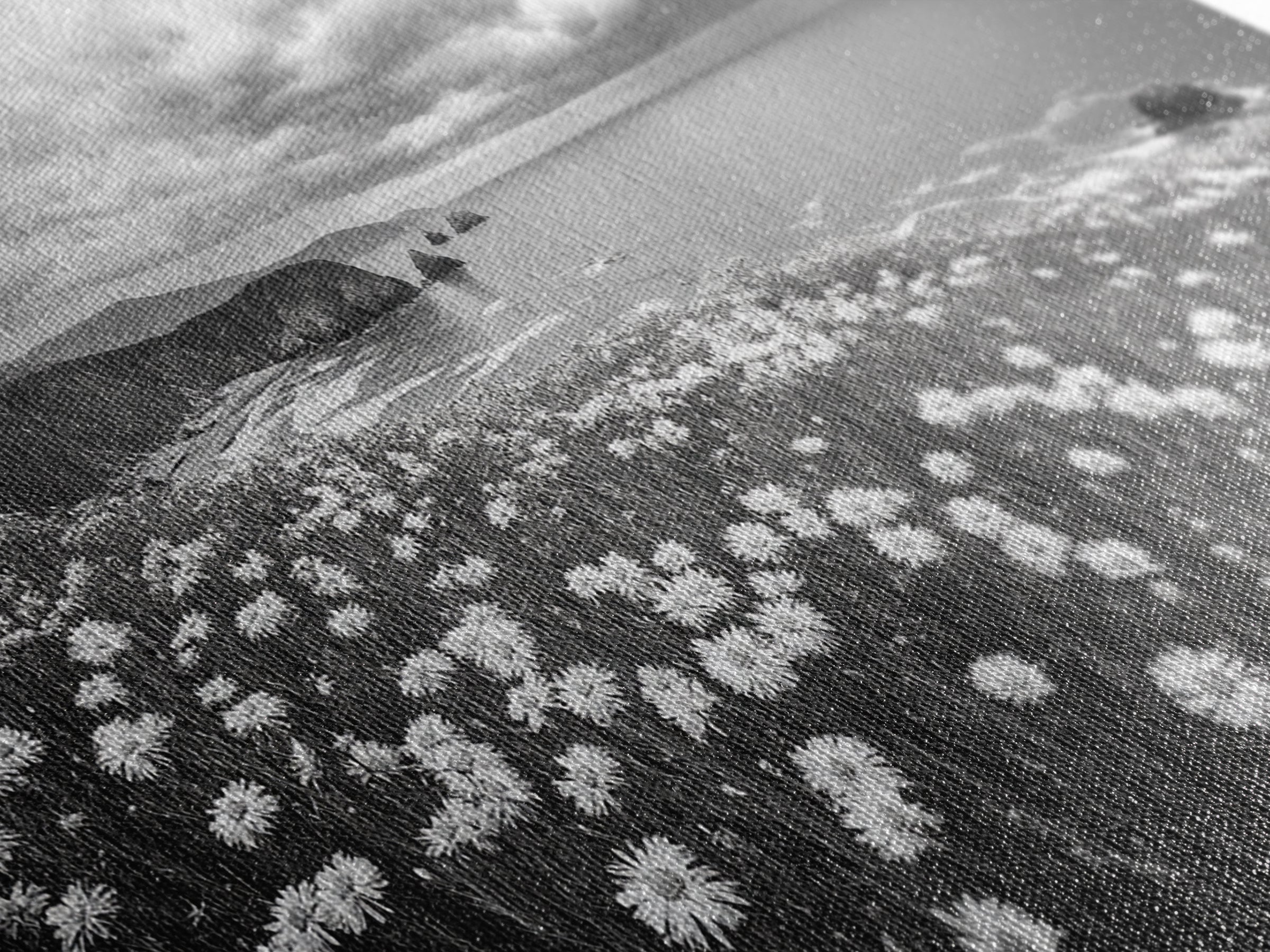 Coastal Flower Field, Ocean Meadow Scene, Seaside Wildflower Landscape, Serene Botanical Print, Living Room Art, Canvas Print