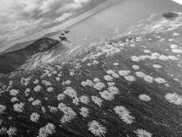 Coastal Flower Field, Ocean Meadow Scene, Seaside Wildflower Landscape, Serene Botanical Print, Living Room Art, Canvas Print
