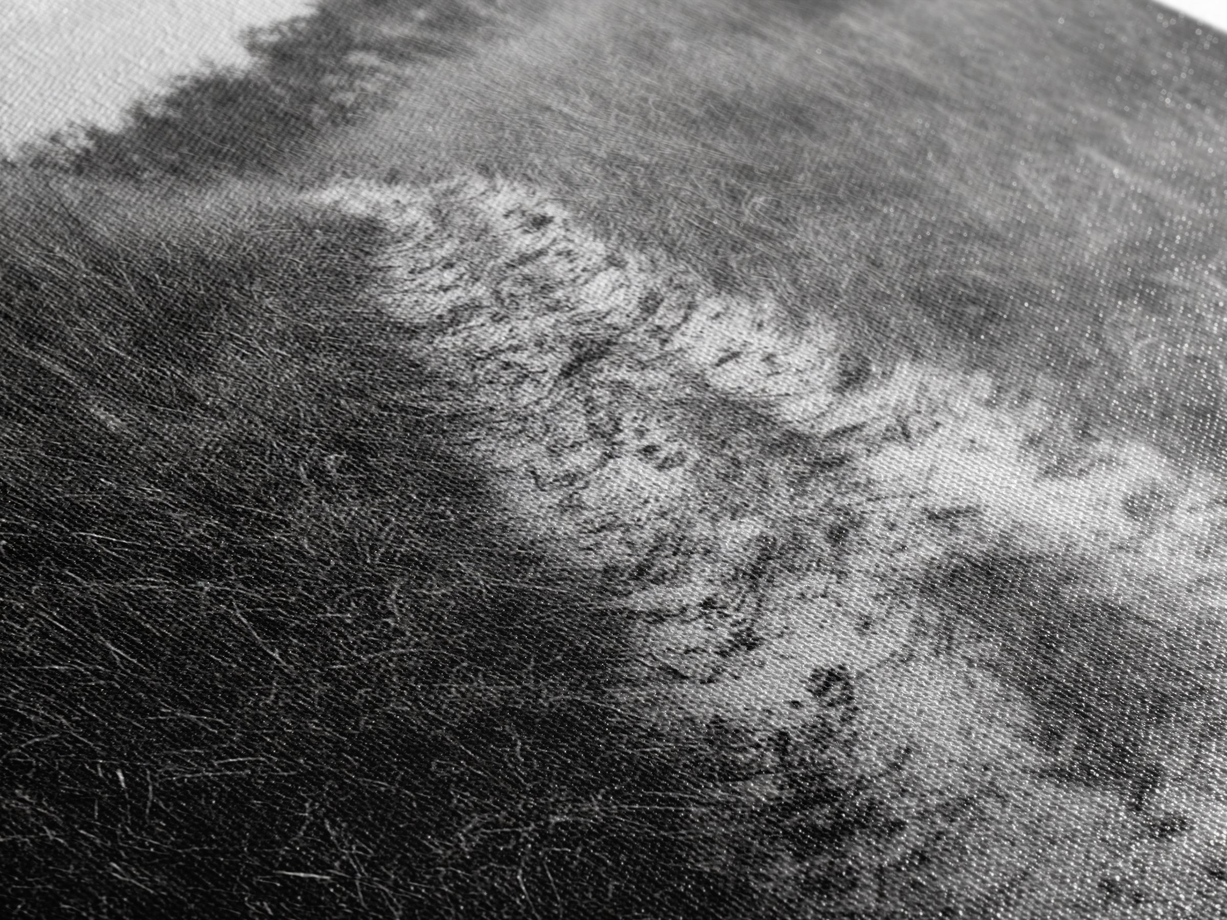 Dirt Path Trail, Minimal Nature Photography, Countryside Landscape, Rustic Fall Vibe Wall Art, Neutral Home Decor, Framed Canvas Print