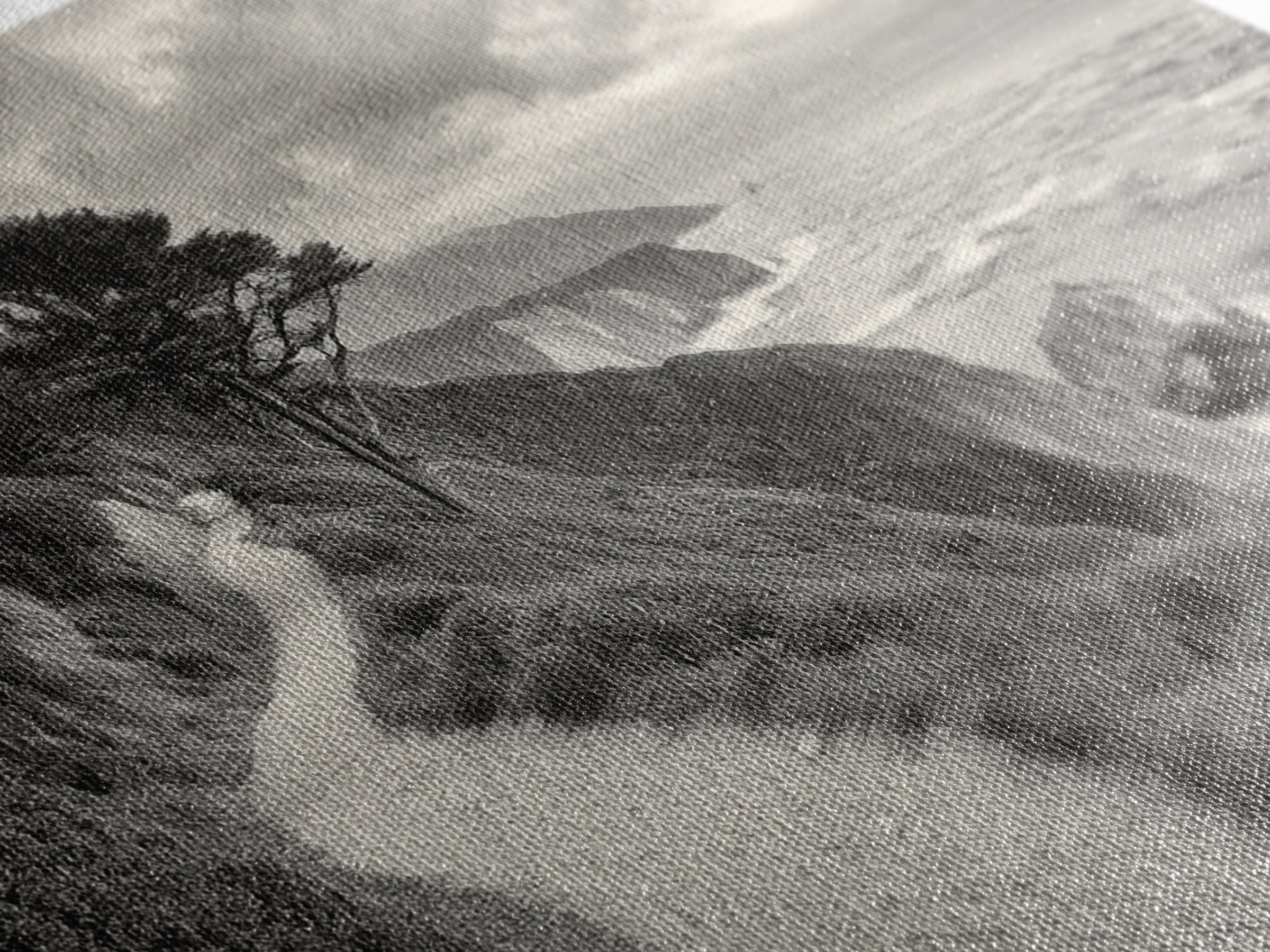 Coastal Path, Nature Trail, Ocean Cliff, Cypress Tree, Framed Canvas Print, Minimalist Wall Art, Living Room Decor, Scenic Landscape